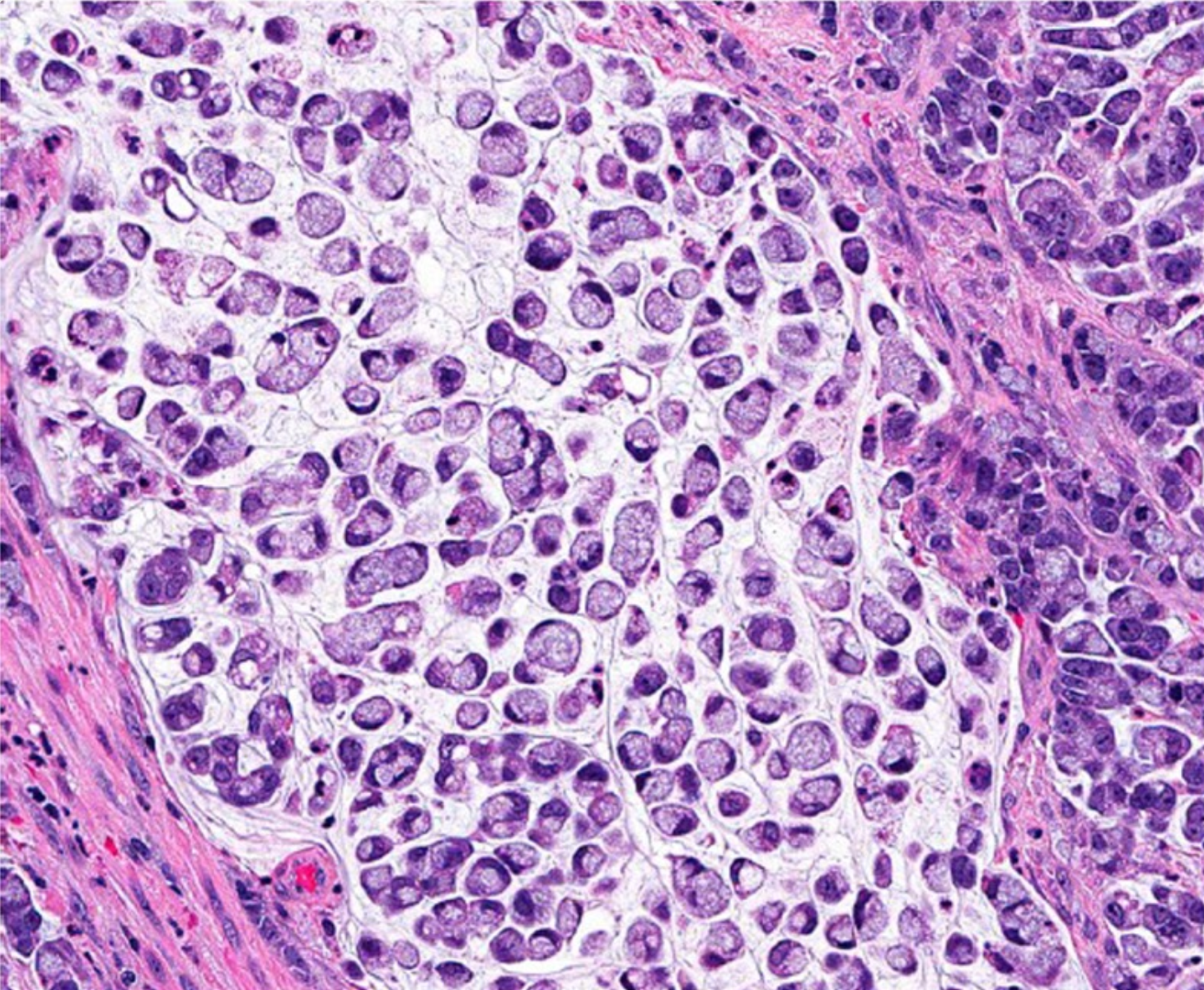 若本图无法展示,请更换浏览器查看