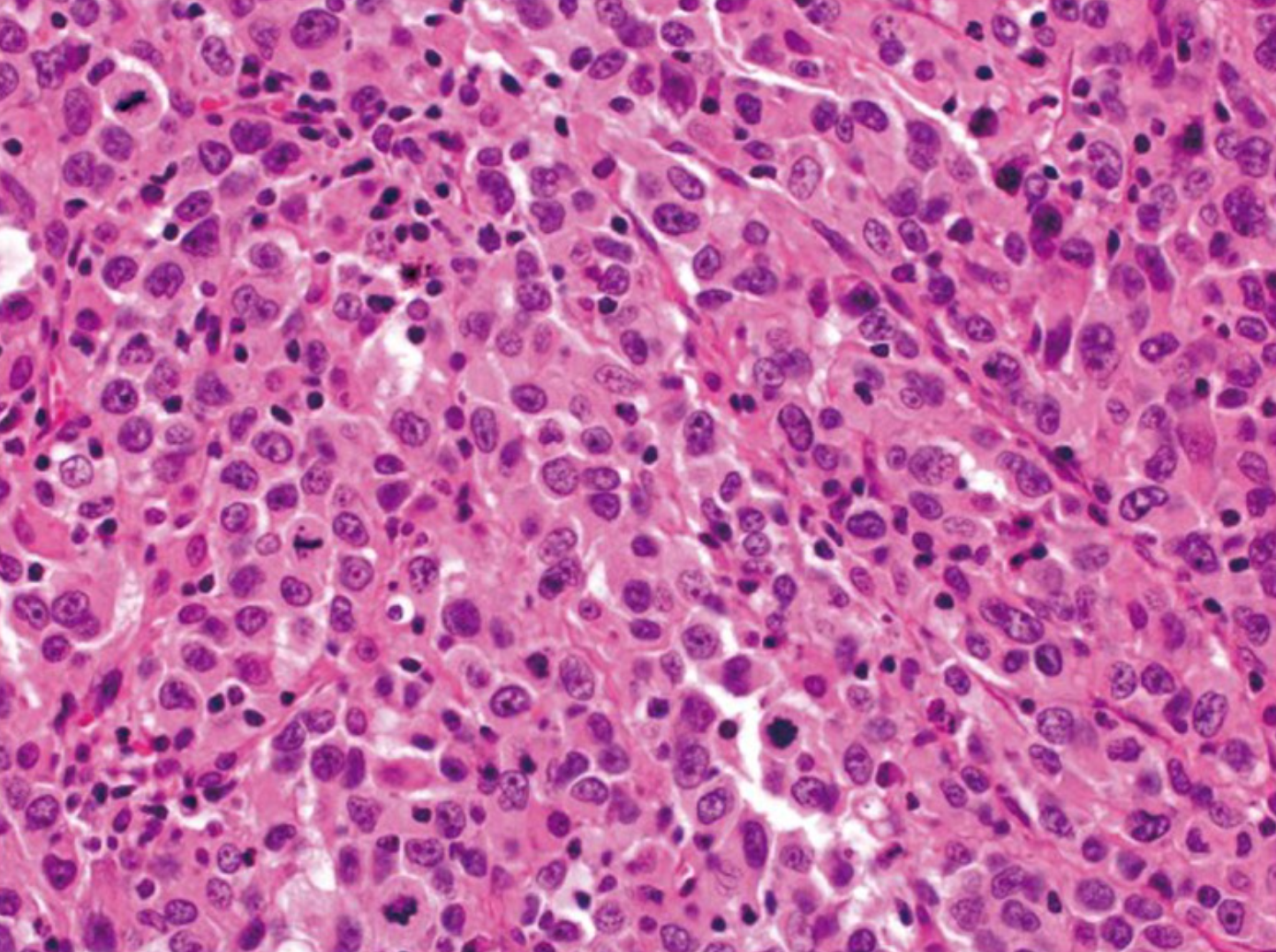 若本图无法展示,请更换浏览器查看