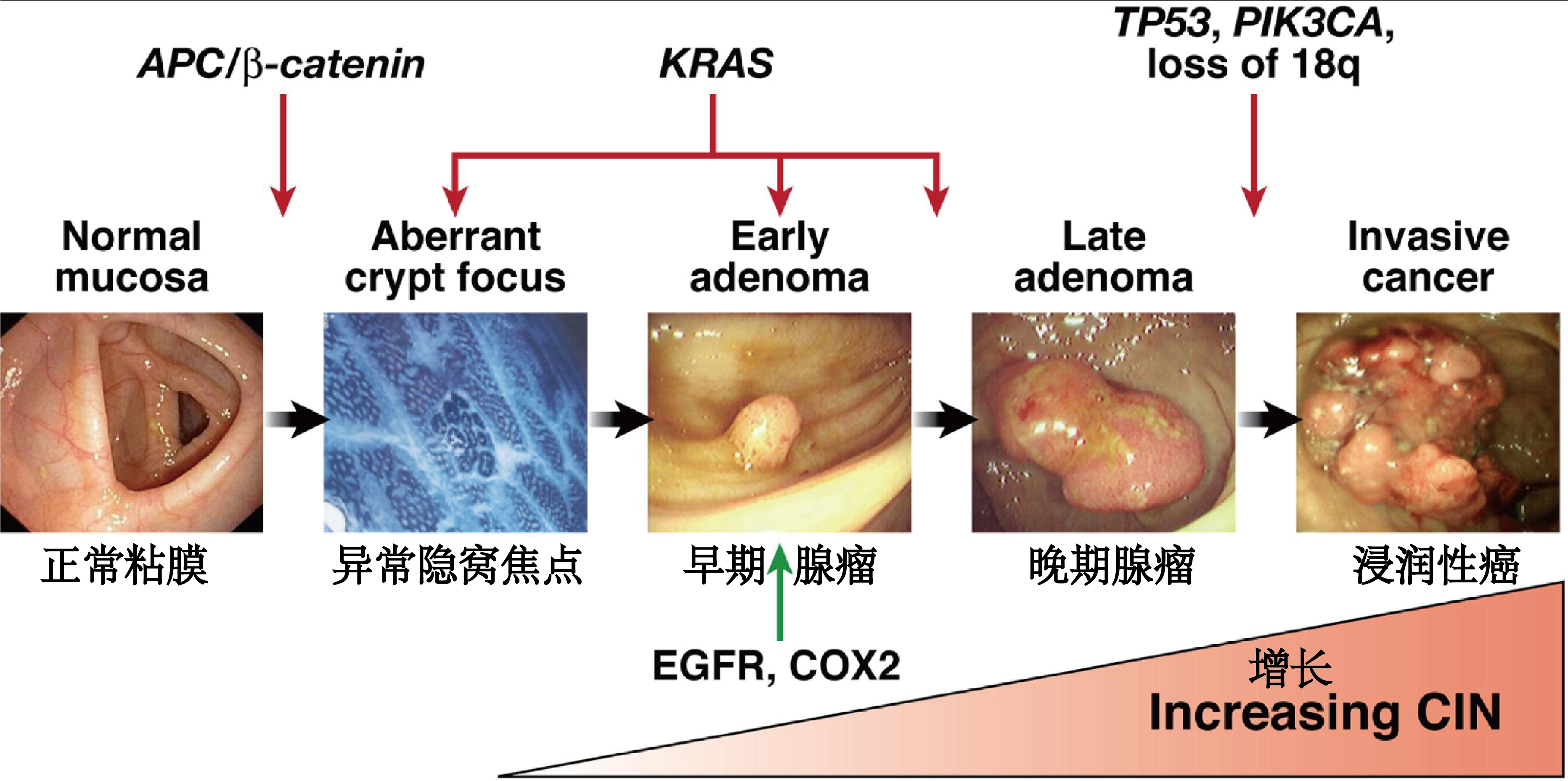 若本图无法展示,请更换浏览器查看