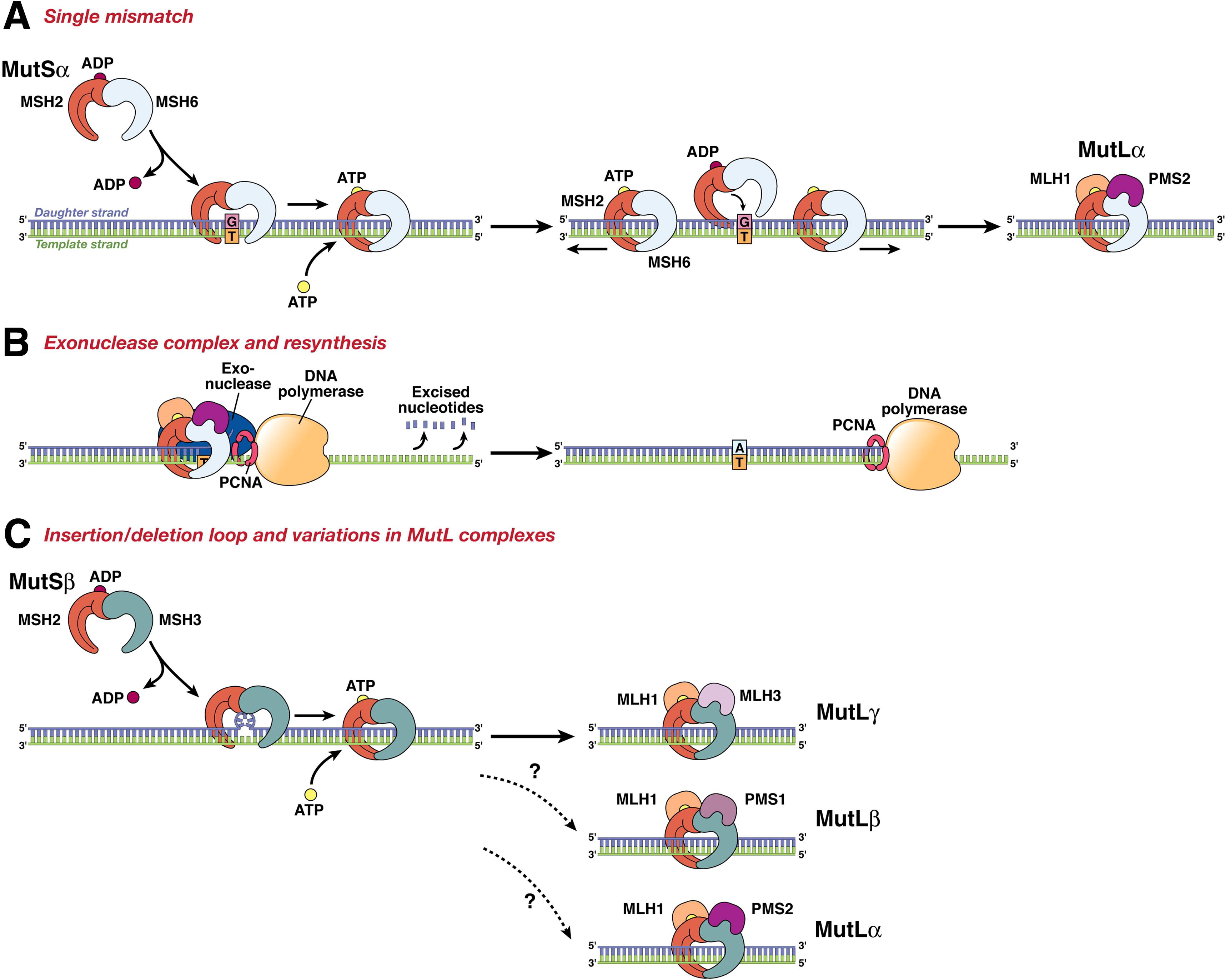 若本图无法展示,请更换浏览器查看