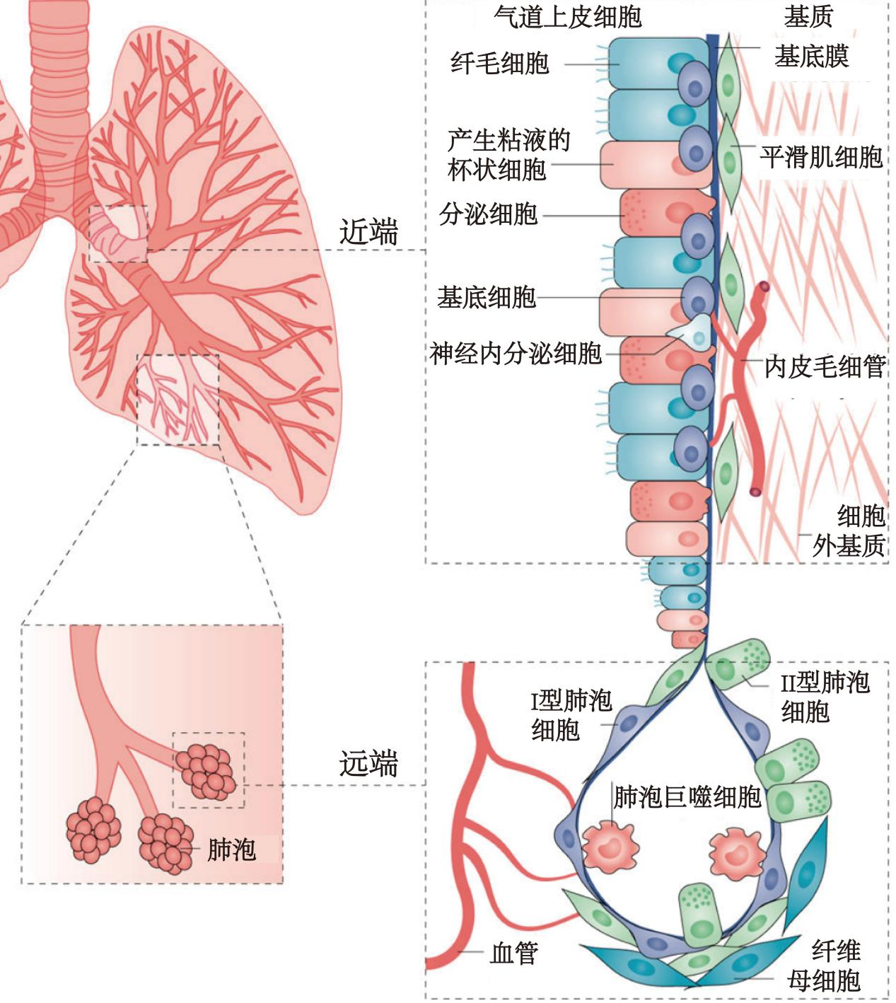 若本图无法展示,请更换浏览器查看