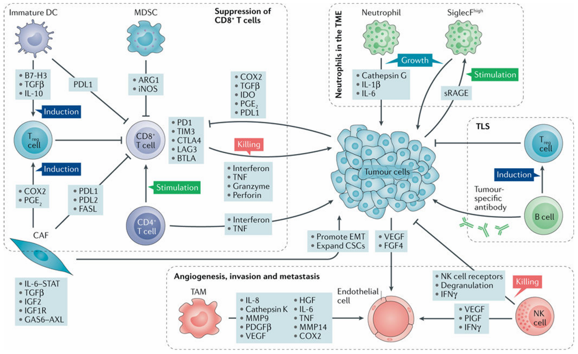 若本图无法展示,请更换浏览器查看