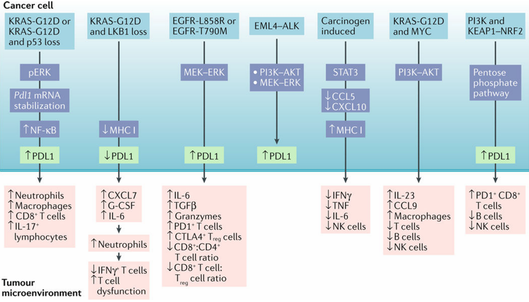 若本图无法展示,请更换浏览器查看