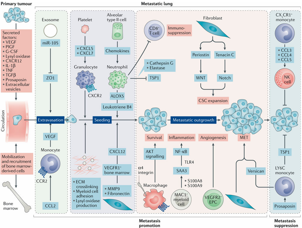 若本图无法展示,请更换浏览器查看