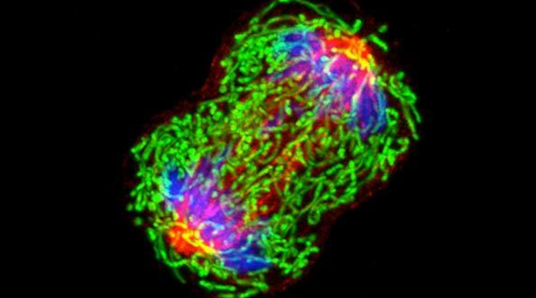 若本图无法展示,请更换浏览器查看